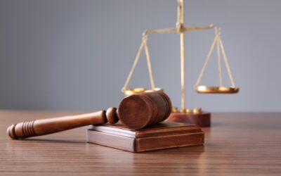 Criminal Appeals In Florida